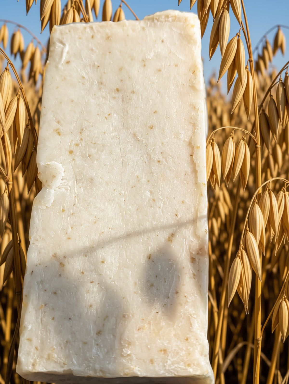 Honeyed Bliss - Oats & Honey