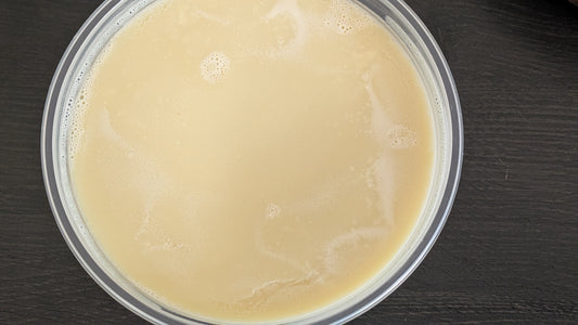 African Ivory Shea Butter